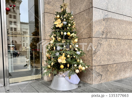 New Year's tree in the city center. High quality photo 135377663