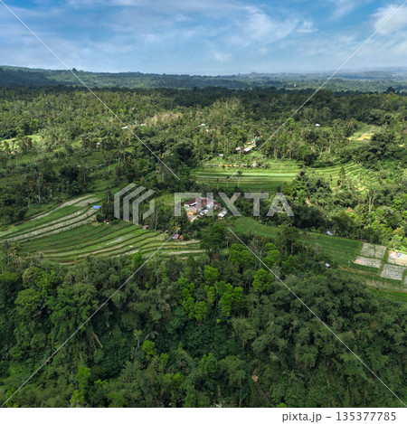 Landscaped Terraces Built To Facilitate Rice Growing And Water Management Landscaped Terraces Built To Facilitate Rice Growing And Water Management 135377785