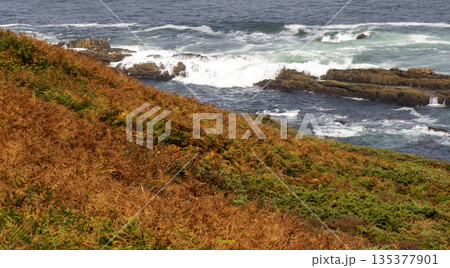 Nature Scene in La Coruna Showcasing Waves crashing Over Rocks Close to the Coast 135377901