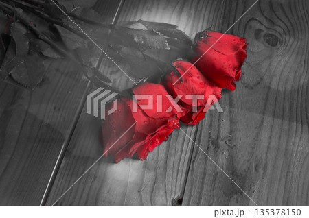 three red roses on grey background, vintage and fantasy three red roses on grey background, vintage and fantasy 135378150