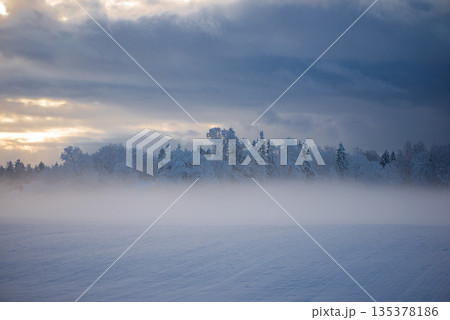 Foggy Snowfield With Distant Winter Forest 135378186