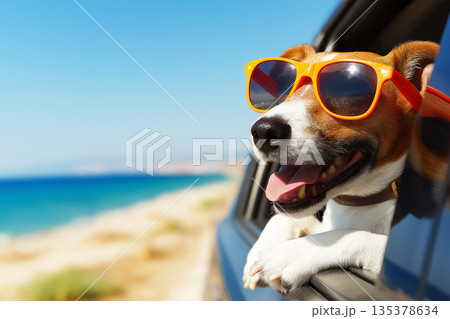 Dog wearing orange sunglasses leans from a car window along a sunny coast. Bright blue sea and sky complete the playful mood. 135378634