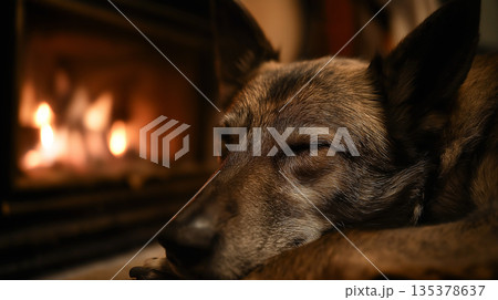Dog sleeping by the fireplace in a cozy living room. The warm glow from the fire creates a calm cozy moment. Dog sleeping by the fireplace in a cozy living room. The warm glow from the fire creates a calm cozy moment. 135378637