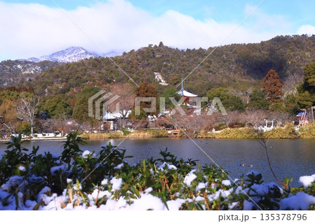 大覚寺（京都市右京区）雪景色　心経宝塔見る 135378796