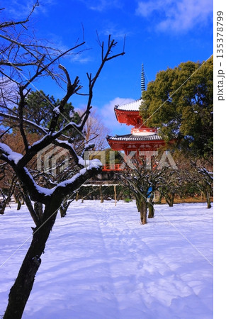 大覚寺(京都市右京区)心経宝塔 雪景色 大覚寺(京都市右京区)心経宝塔 雪景色 135378799