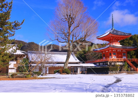 大覚寺(京都市右京区)心経宝塔 雪景色 大覚寺(京都市右京区)心経宝塔 雪景色 135378802