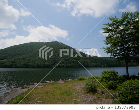 夏の山奥 夏の山奥 135378905