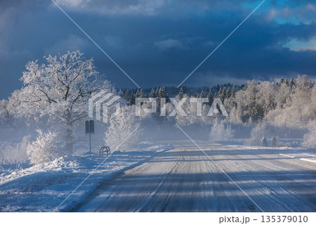 Icy Road Leading Into Winter Forest 135379010