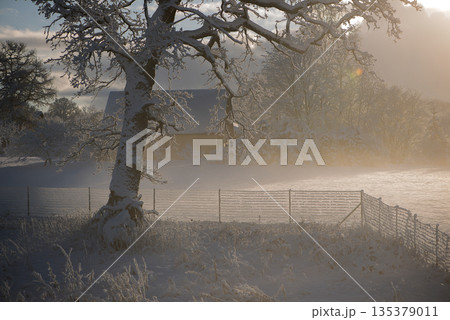 Sunlit Farmhouse Behind Frosty Trees Sunlit Farmhouse Behind Frosty Trees 135379011
