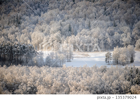 Frosted Winter Valley With Snowy Meadow and Forest Edge Frosted Winter Valley With Snowy Meadow and Forest Edge 135379024
