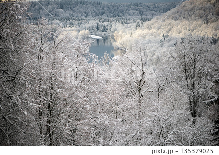 Snow Covered Forest and River Bend Seen From Above Snow Covered Forest and River Bend Seen From Above 135379025