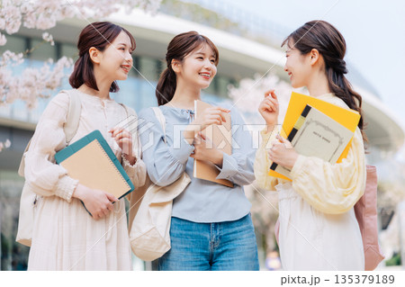 桜のキャンパスで談笑する女子大生3人組 135379189