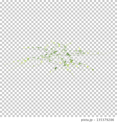 Zehneria indica grass plants 3d illustration on transparent background Zehneria indica grass plants 3d illustration on transparent background 135379286