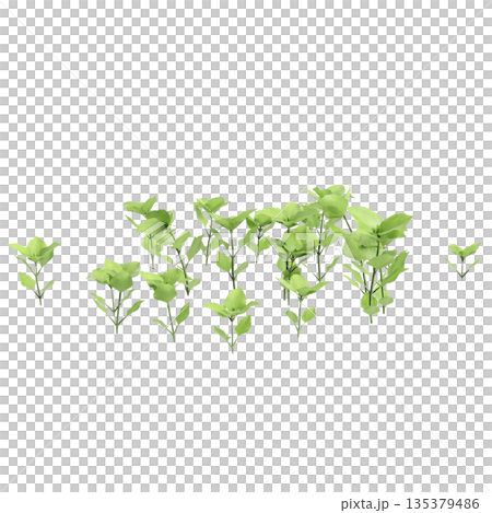 Stellaria media bush plants 3d illustration on transparent background Stellaria media bush plants 3d illustration on transparent background 135379486