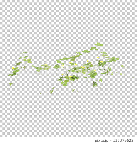 Duchesnea indica grass plants 3d illustration on transparent background Duchesnea indica grass plants 3d illustration on transparent background 135379622