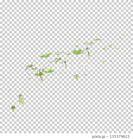 Duchesnea indica grass plants 3d illustration on transparent background 135379623