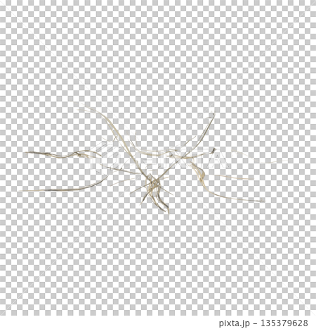 Dry grass plants 3d illustration on transparent background 135379628