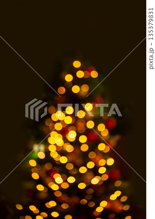 クリスマスツリー クリスマスツリー 135379831