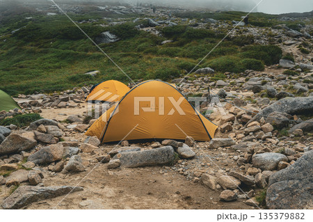 霧の高山テント場に張られたテントと登山道 135379882