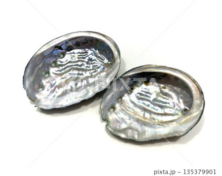 アワビの貝殻の内側22 135379901
