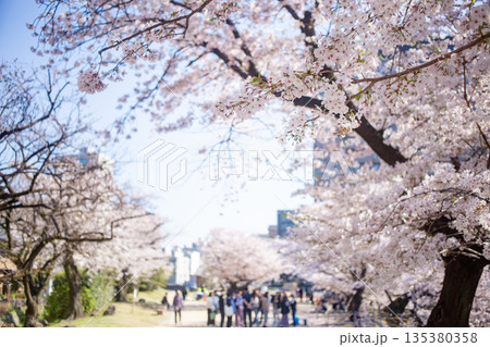 大分府内城址と桜 135380358