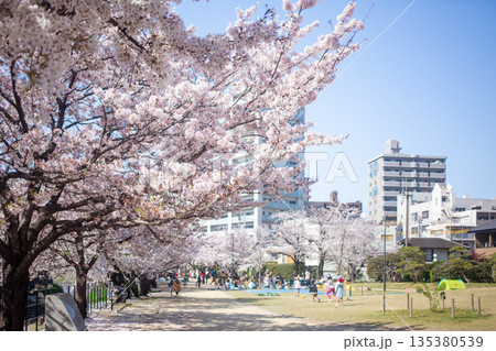 満開の桜と大分城址公園 135380539