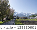 北アルプス残雪と里の道｜白馬の田園風景 135380601