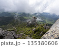 雲が流れる岩峰と新緑の山並み 135380606