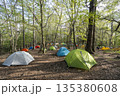 新緑の森に広がる山のテント場風景 135380608