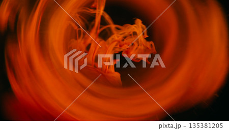 Defocused fume drop. Dye swirl. Red orange steam liquid paint dissolving underwater. Circle bright prism blending color on black background. 135381205
