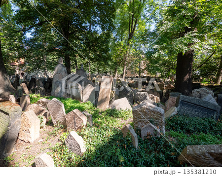 The Old Jewish Cemetery in Prague, located in the Jewish Quarter The Old Jewish Cemetery in Prague, located in the Jewish Quarter 135381210