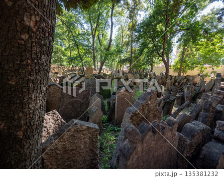 The Old Jewish Cemetery in Prague, located in the Jewish Quarter 135381232