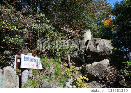 広島県 竹原市忠海町 黒滝山からの眺望 広島県 竹原市忠海町 黒滝山からの眺望 135381359