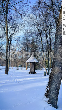 A sunlit paved walkway winds through a serene winter park with tall bare trees and fresh white snow A sunlit paved walkway winds through a serene winter park with tall bare trees and fresh white snow 135381820