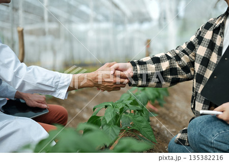 A researcher and a farmer shaking hands in a greenhouse, symbolizing cooperation, trust, and shared agricultural progress A researcher and a farmer shaking hands in a greenhouse, symbolizing cooperation, trust, and shared agricultural progress 135382216