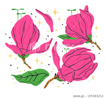 Magnolia blossoms. Pink flower petals, magnolia flowers on tree branch, botanical flat vector illustration set. Hand drawn beautiful flowers on white 135383212