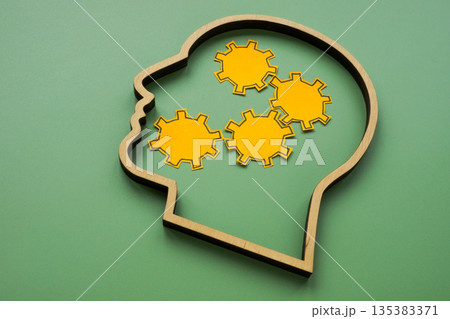Head with gears symbolizing critical thinking. 135383371