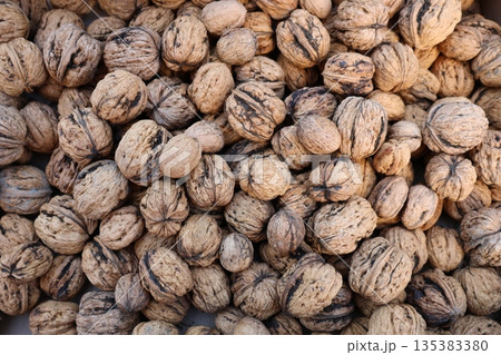 Natural walnut in shell background pattern texture Natural walnut in shell background pattern texture 135383380