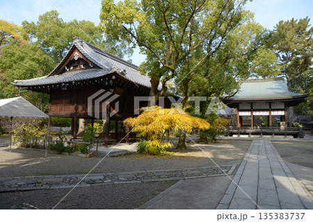 秋の上御霊神社　境内　京都市上京区 135383737