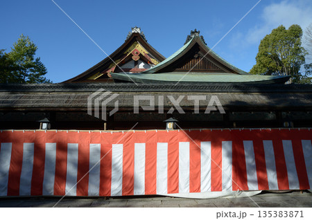 正月の祇園八坂神社 本殿 京都市東山区 正月の祇園八坂神社 本殿 京都市東山区 135383871