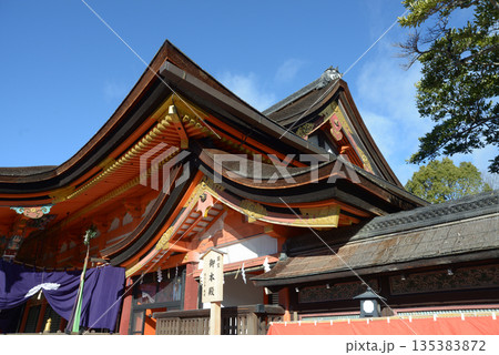 正月の祇園八坂神社 本殿 京都市東山区 正月の祇園八坂神社 本殿 京都市東山区 135383872