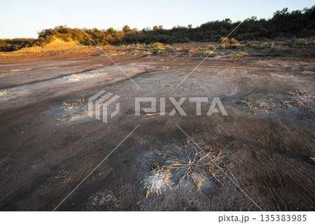 Semi desert environment landcape, La Pampa province, Patagonia, Argentina. 135383985