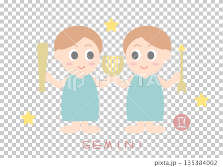 可愛的雙子座矢量圖 135384002