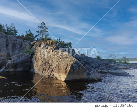 A large rock sits in the water next to a tree. 135384166
