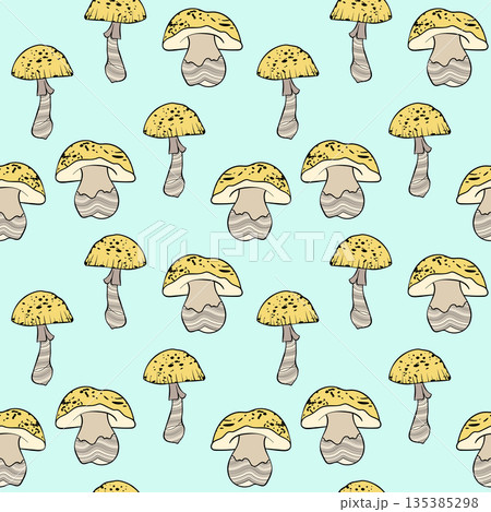 Seamless pattern with mushrooms. Hand drawn vector illustration. Vegan food menu. Poisonous and edible mushroom. Autumn mushroom picking, forest plant sketches Seamless pattern with mushrooms. Hand drawn vector illustration. Vegan food menu. Poisonous and edible mushroom. Autumn mushroom picking, forest plant sketches 135385298