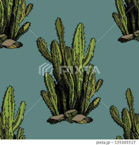 Seamless pattern with cacti, blooming succulent on color background. Vector hand drawn illustration for packaging, fabric, textile. Wild west cactus, western concept Seamless pattern with cacti, blooming succulent on color background. Vector hand drawn illustration for packaging, fabric, textile. Wild west cactus, western concept 135385517