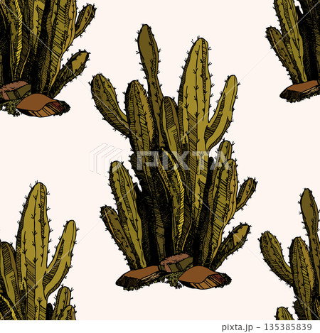 Seamless pattern with cacti, blooming succulent on color background. Vector hand drawn illustration for packaging, fabric, textile. Wild west cactus, western concept Seamless pattern with cacti, blooming succulent on color background. Vector hand drawn illustration for packaging, fabric, textile. Wild west cactus, western concept 135385839