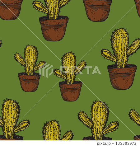 Seamless pattern with cacti, blooming succulent on color background. Vector hand drawn illustration for packaging, fabric, textile. Wild west cactus, western concept 135385972