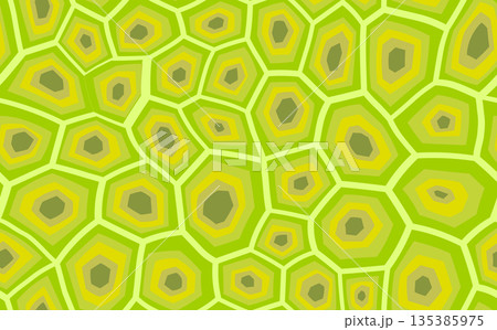 Abstract modern turtle shell seamless pattern. Animals trendy background. Orange decorative vector illustration for print, fabric, textile. Modern ornament of stylized skin 135385975