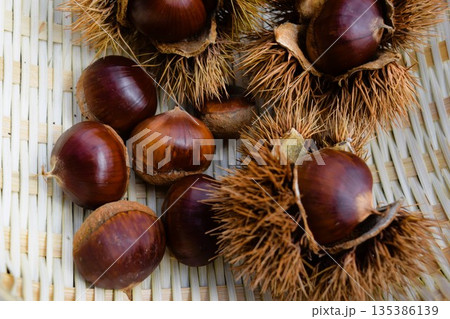 収穫した栗の実とイガ 135386139